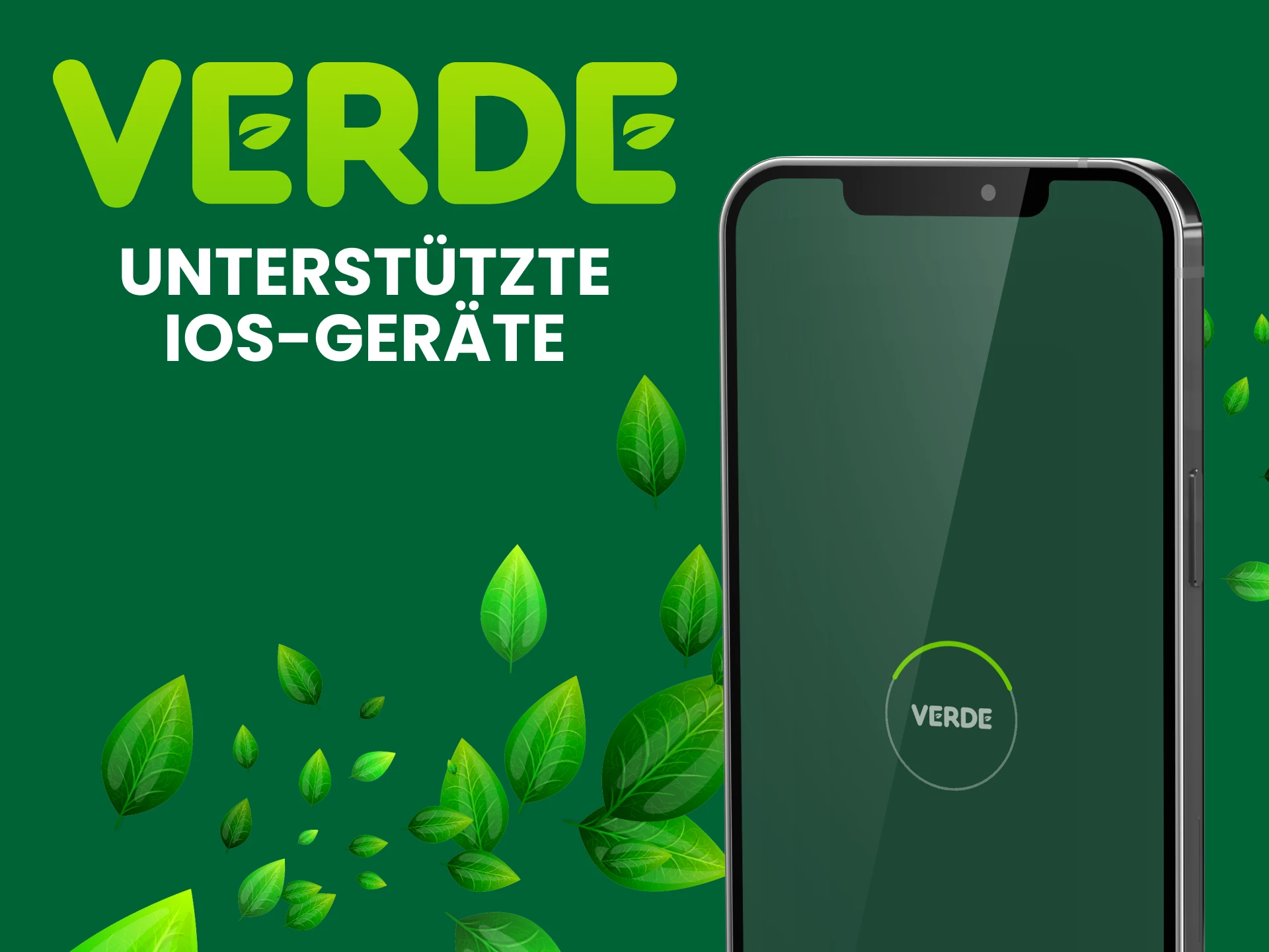 Installieren Sie die Verde-App auf Ihrem iOS-Gerät.